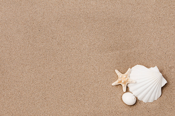 shell 4