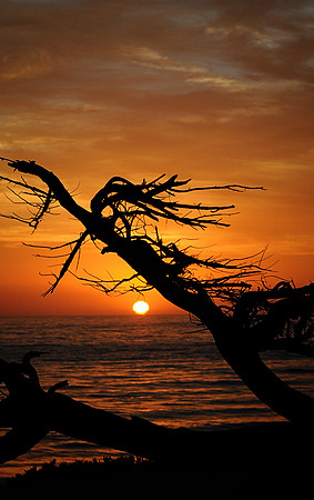 sunset 1